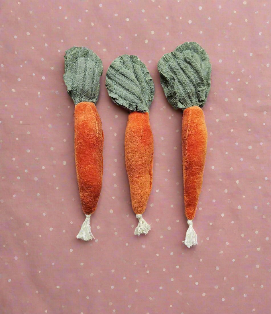 3 x carrot - no waste norma